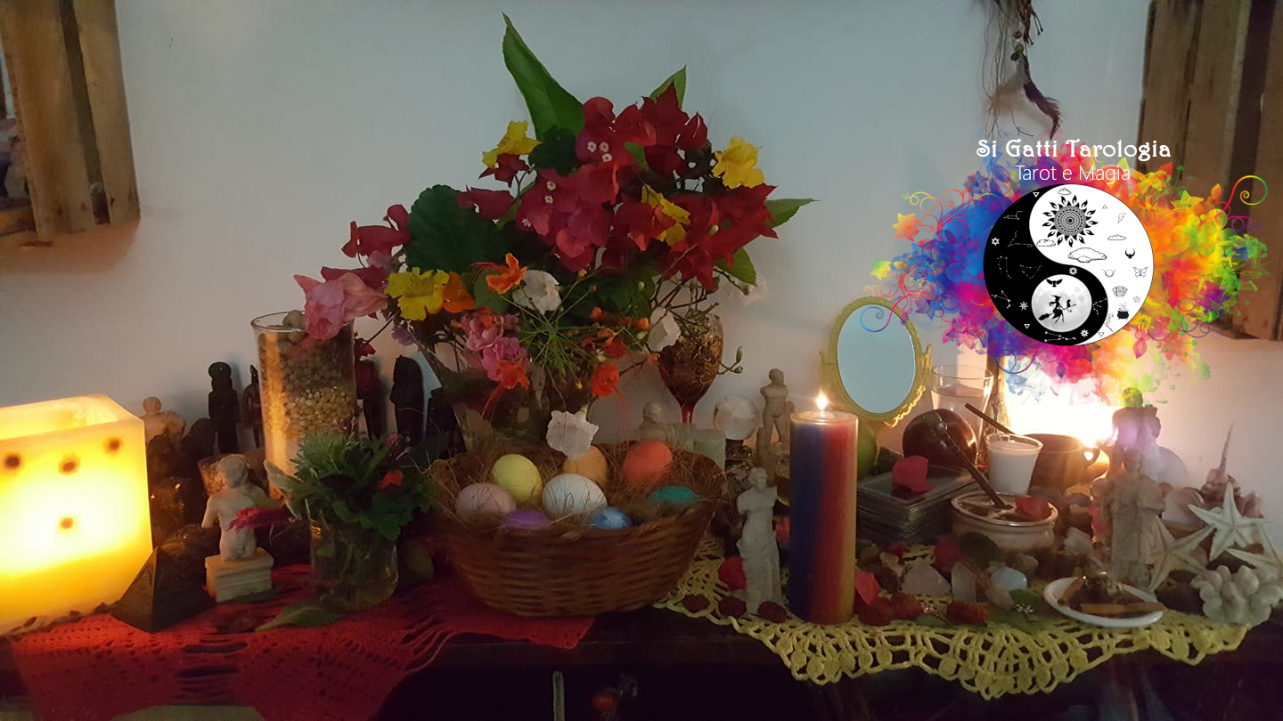 Si Gatti Tarologia - Foto 3